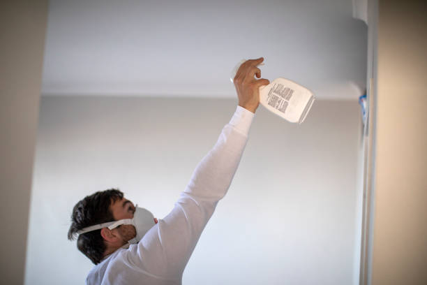 Best Commercial Mold Removal  in Stow, OH