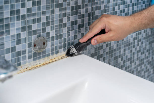 Best Mold Damage Repair  in Stow, OH