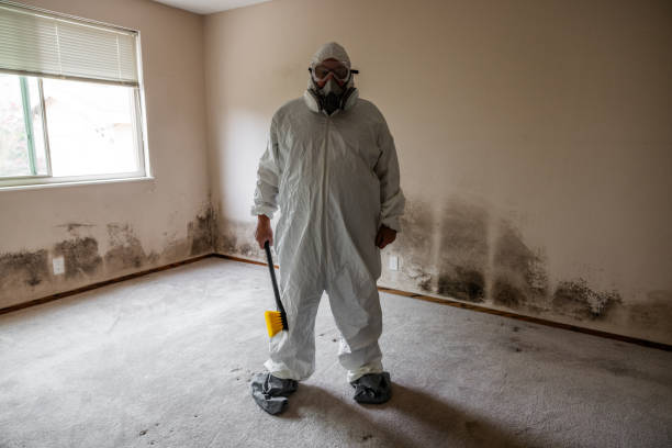 Mold Removal Process in Stow, OH